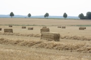 IMG_0857.JPG