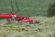 IMG_7764.JPG