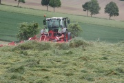 IMG_7775.JPG